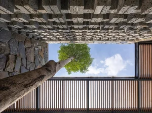 NX Villa: A Suburban Northern Vietnam Retreat Harmonizing with Nature - image 12