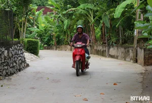 Rural Community Unites to Fund and Build Mountain Roads in Vietnam - image 1