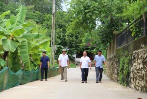 Rural Community Unites to Fund and Build Mountain Roads in Vietnam - image 3