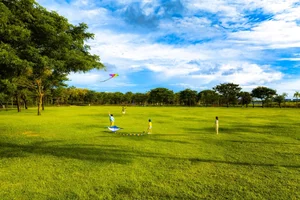 Experience the Magic: Festive Season Celebrations and Holiday Activities at Waterpoint Urban Area - image 7
