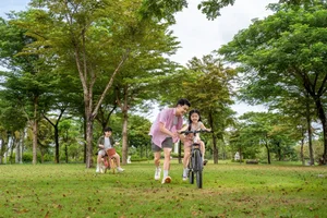 Experience the Magic: Festive Season Celebrations and Holiday Activities at Waterpoint Urban Area - image 5