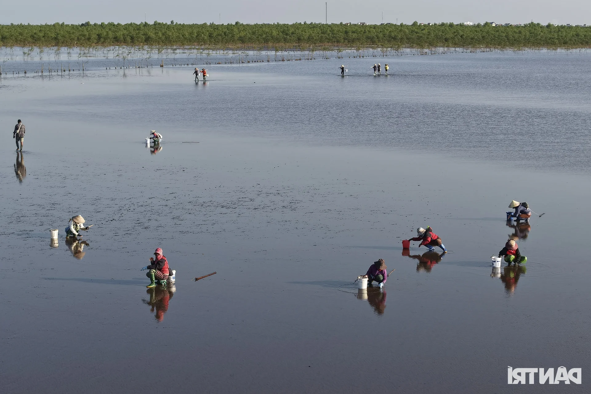 Exploring the Scenic Mangrove Forests of Thai Thuy in Thai Binh