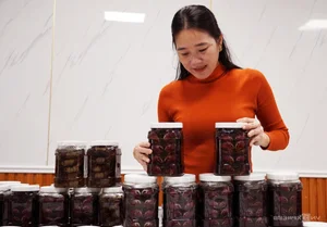 Modernizing Tradition: Inside the Most Advanced 'Ba Khia' Factory in the Mekong Delta - image 4