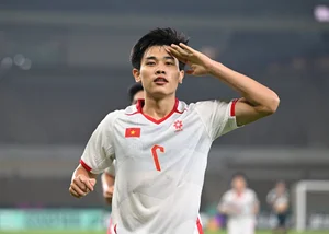 Vietnamese Football Stars Build Luxurious Mansions for Their Parents - image 0