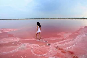 Tanzania's Deadly Beauty: The 'Blood Lake' That Turns Animals to Stone - image 1
