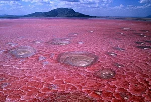 Tanzania's Deadly Beauty: The 'Blood Lake' That Turns Animals to Stone - image 0