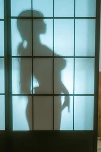 Sakurai Nene Miko: The Rising Star of Japanese Fashion and Cosplay - image 11