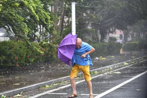 Dramatic Footage Shows Fierce Winds and Heavy Rain of Typhoon Yagi in Hainan - image 2