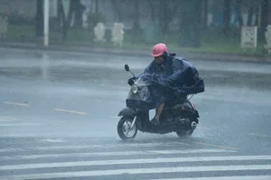 Dramatic Footage Shows Fierce Winds and Heavy Rain of Typhoon Yagi in Hainan - image 3