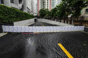 Dramatic Footage Shows Fierce Winds and Heavy Rain of Typhoon Yagi in Hainan - image 4