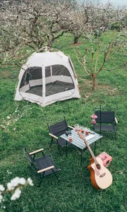 Moc Chau Off-Season Plum Blossoms: A Dreamy Autumn Wonderland - image 0