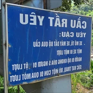 Unique Bridges of Vietnam: A Guide to One-of-a-Kind Names - image 6