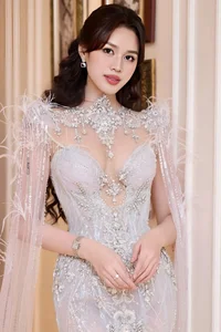 Vietnamese Beauty Queens on the Global Stage: Thuy Tien and H'Hen Nie's Journeys - image 9