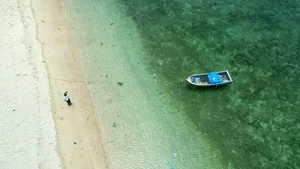 Bãi Thùng: Discover the Pristine Coastal Beauty Perfect for Beach Camping - image 8