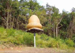 Mysterious UFO Encounters That Defined Human History - image 3