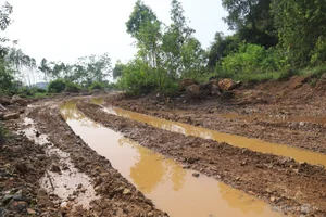 Preservation Concerns: The Impact of Mistaken Excavations on National Heritage Sites - image 1