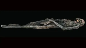 Unveiling the Complex Artistry of a 2,300-Year-Old Tattooed Mummy - image 8