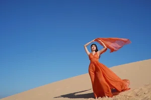 Miss Earth Vietnam 2023 Do Thi Lan Anh: A Journey of Beauty and Environmental Impact - image 1