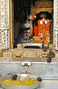 Interesting Facts About India That You Might Not Know - image 7