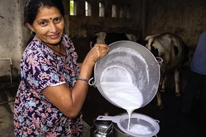 Interesting Facts About India That You Might Not Know - image 4