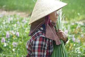 Exploring the Scenic Thu Bon River and Traditional Craft Villages - image 5