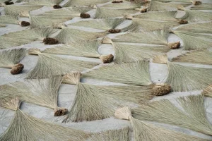 Exploring the Scenic Thu Bon River and Traditional Craft Villages - image 11