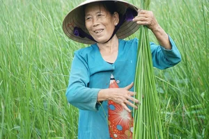 Exploring the Scenic Thu Bon River and Traditional Craft Villages - image 7