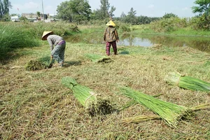 Exploring the Scenic Thu Bon River and Traditional Craft Villages - image 2