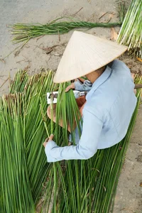 Exploring the Scenic Thu Bon River and Traditional Craft Villages - image 6
