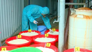 Inside the Raid: Close-up Look at the Recently Dismantled Massive Drug Lab - image 3
