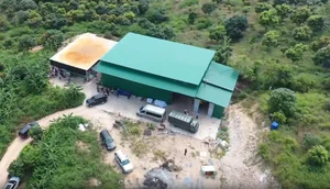 Inside the Raid: Close-up Look at the Recently Dismantled Massive Drug Lab - image 5