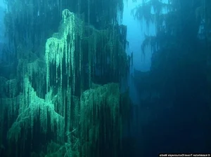 The Surreal Sunken Forest of Lake Kaindy: Nature’s Underwater Masterpiece in Kazakhstan - image 7
