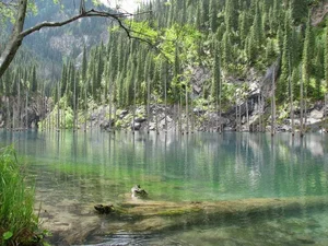 The Surreal Sunken Forest of Lake Kaindy: Nature’s Underwater Masterpiece in Kazakhstan - image 1