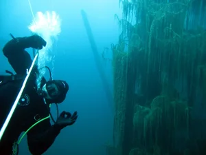 The Surreal Sunken Forest of Lake Kaindy: Nature’s Underwater Masterpiece in Kazakhstan - image 0