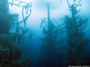 The Surreal Sunken Forest of Lake Kaindy: Nature’s Underwater Masterpiece in Kazakhstan - image 3