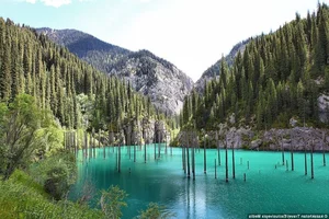 The Surreal Sunken Forest of Lake Kaindy: Nature’s Underwater Masterpiece in Kazakhstan - image 8