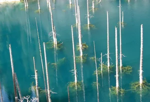 The Surreal Sunken Forest of Lake Kaindy: Nature’s Underwater Masterpiece in Kazakhstan - image 9