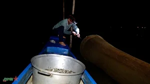 The Cultural Beauty of Vietnam's Mekong Delta During Floating Season - image 1
