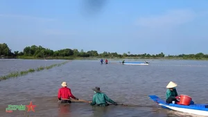 The Cultural Beauty of Vietnam's Mekong Delta During Floating Season - image 4