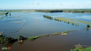 The Cultural Beauty of Vietnam's Mekong Delta During Floating Season - image 3