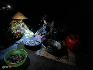 The Cultural Beauty of Vietnam's Mekong Delta During Floating Season - image 5