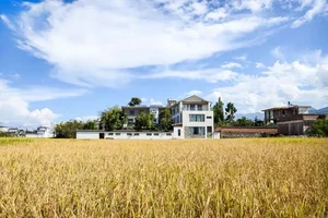 Inside the 700m2 Mansion Built by Four Brothers for Their Parents - image 5