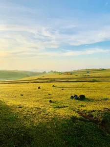 Discover Bui Hui Steppe: Vietnam's Untouched Paradise - image 0
