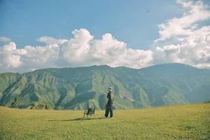 Discovering Ta Xua Steppe: Vietnam's Breathtaking 'Miniature Switzerland' - image 4