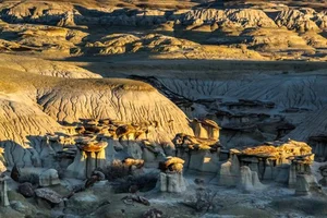 Exploring the Mysterious Giant Stone Mushrooms: Nature’s Incredible Geological Wonders - image 6