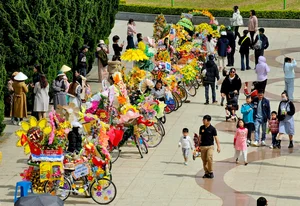 Da Lat Flower Bicycle Parade Spreads Environmental Awareness - image 0