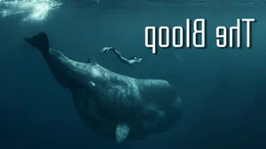 Three Spooky Deep Ocean Mysteries That Still Baffle Scientists - image 8