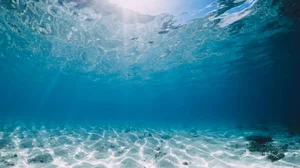 Three Spooky Deep Ocean Mysteries That Still Baffle Scientists - image 6