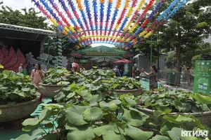 Discover the Art of Premium Lotus Tea at the Hanoi Lotus Festival - image 7