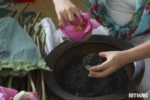 Discover the Art of Premium Lotus Tea at the Hanoi Lotus Festival - image 14